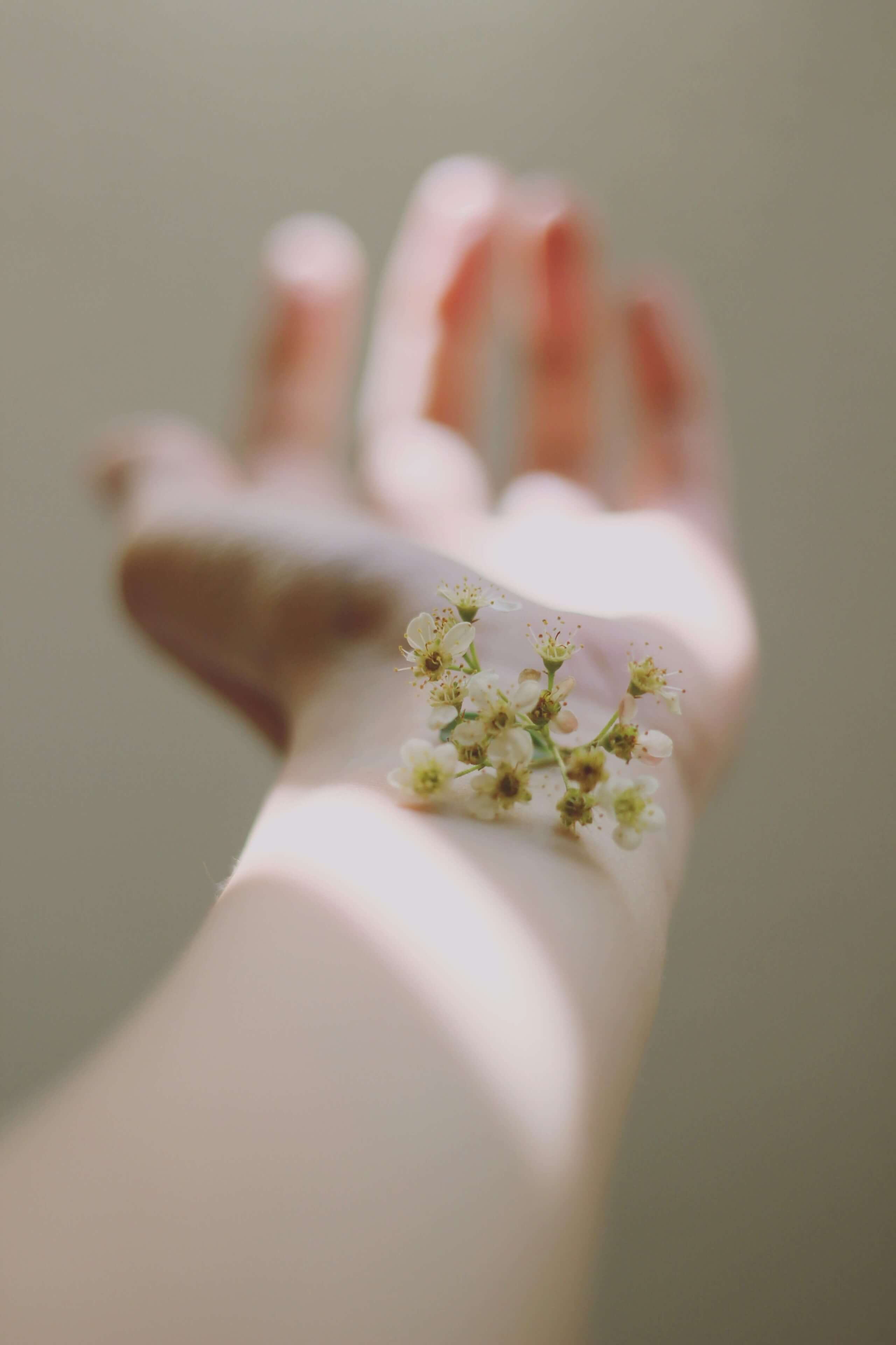 Eine kleine Blume liegt auf einem Arm