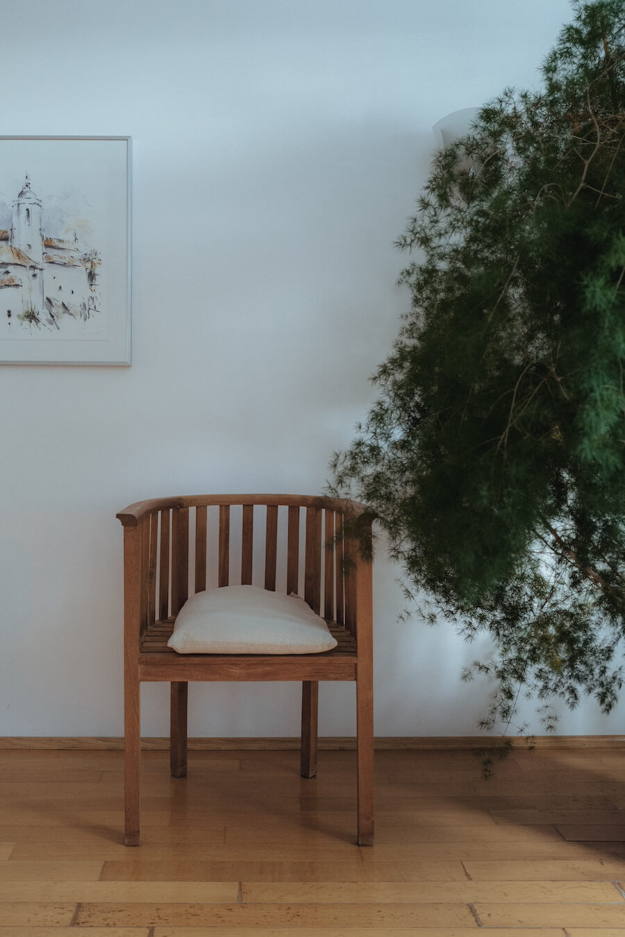 Ein Stuhl und eine Pflanze in der Praxis